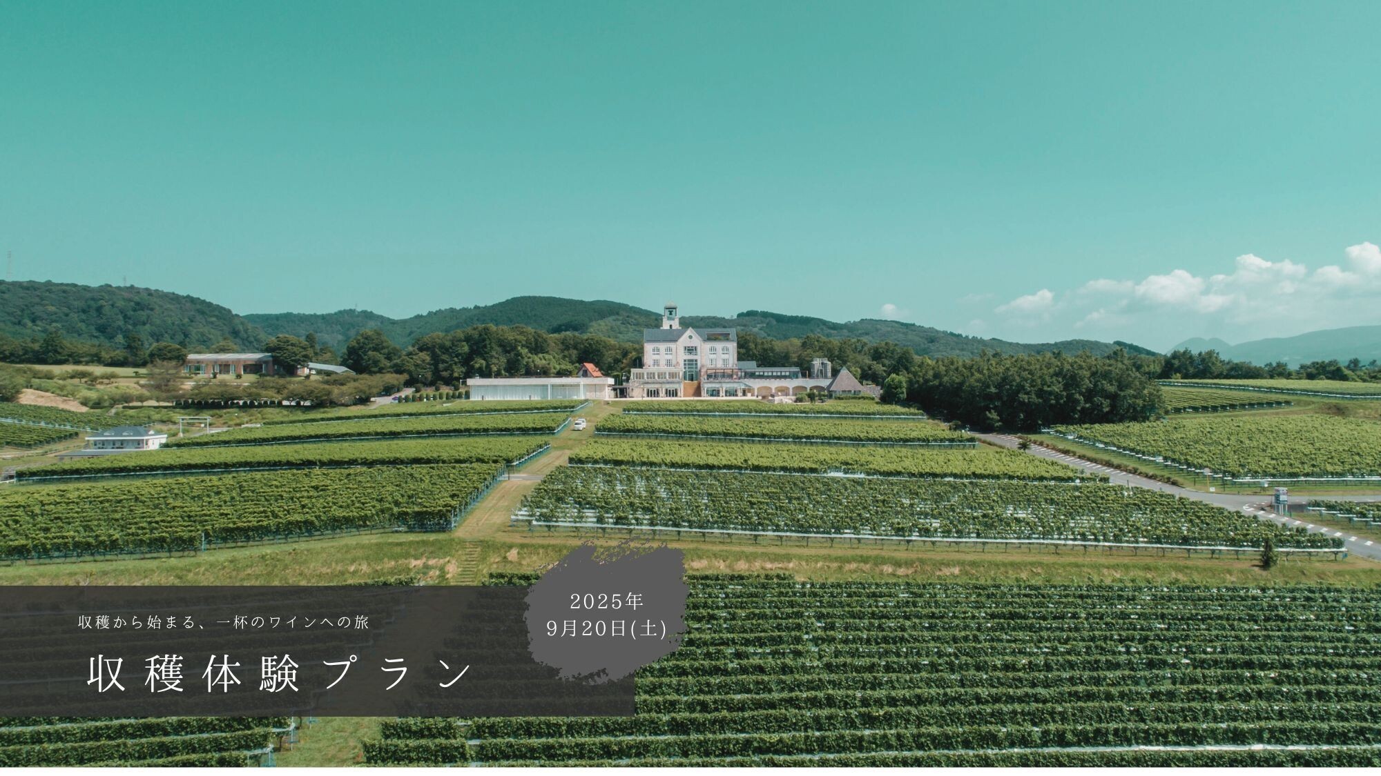 収穫体験プラン