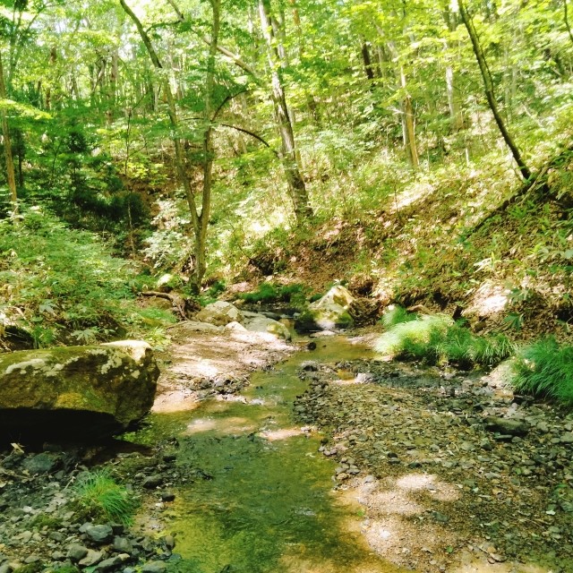 【新御堂の滝】（車で約15分）森に包まれた静寂の中で白い水しぶきがきらめく、秘境感あふれる癒しの滝