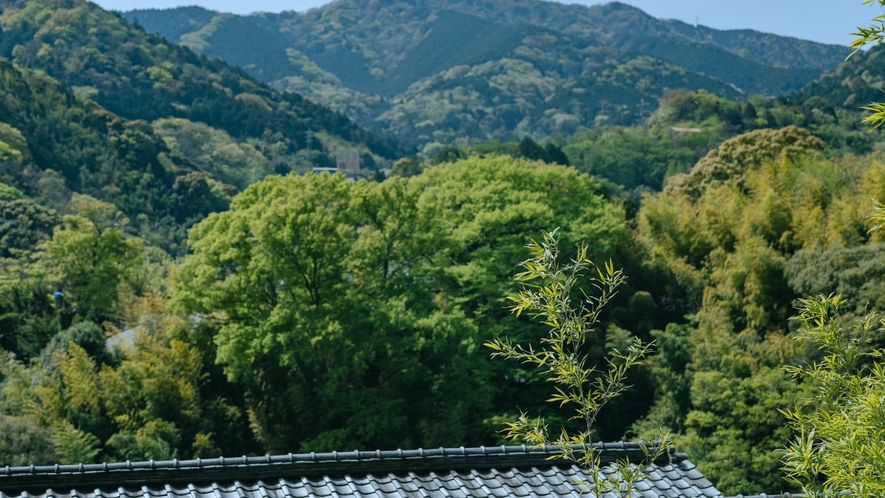 【景観】巛-sen-湯河原の客室から見える景色。心ゆくまでお楽しみください