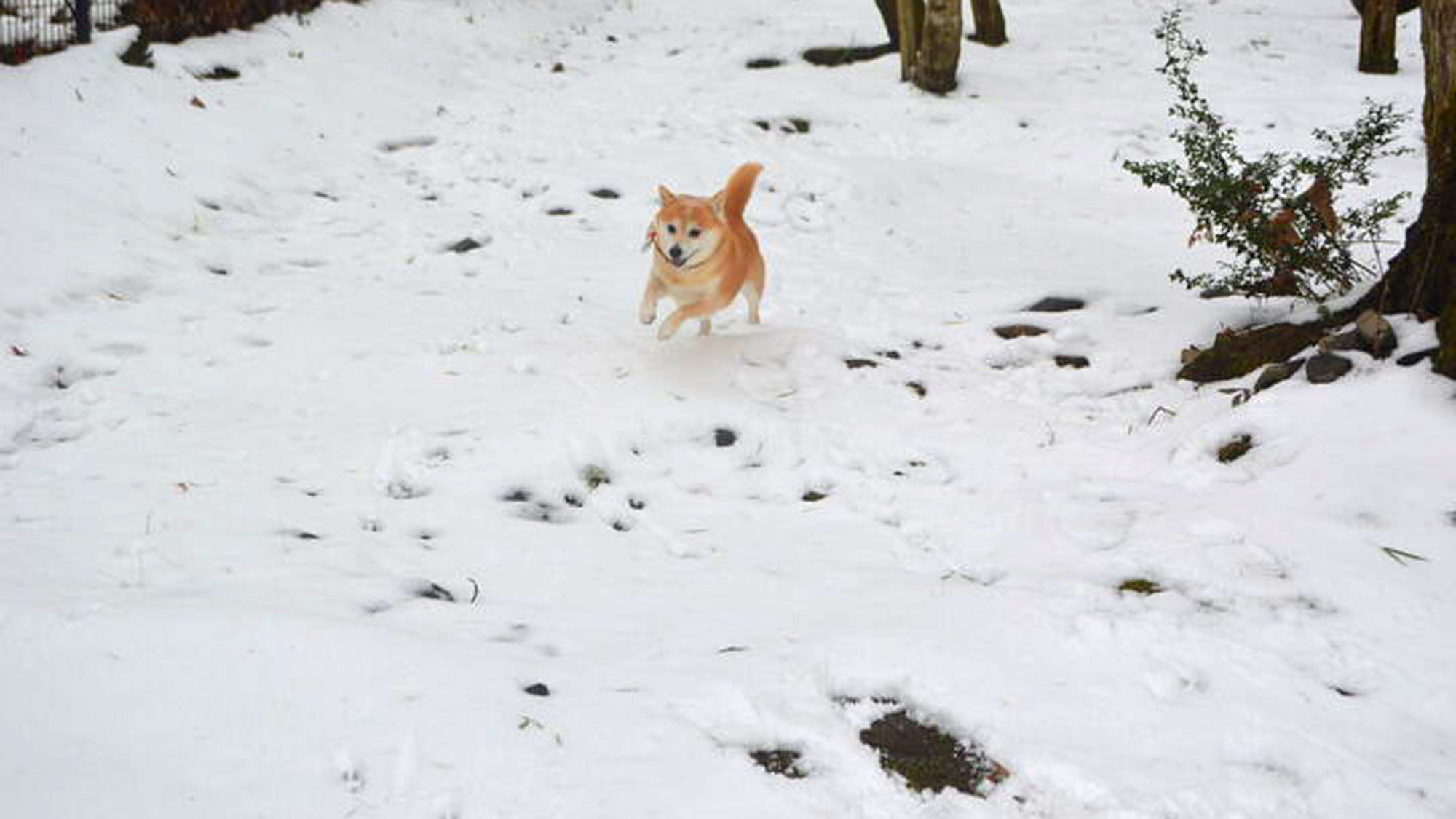 雪で遊んでいる様子