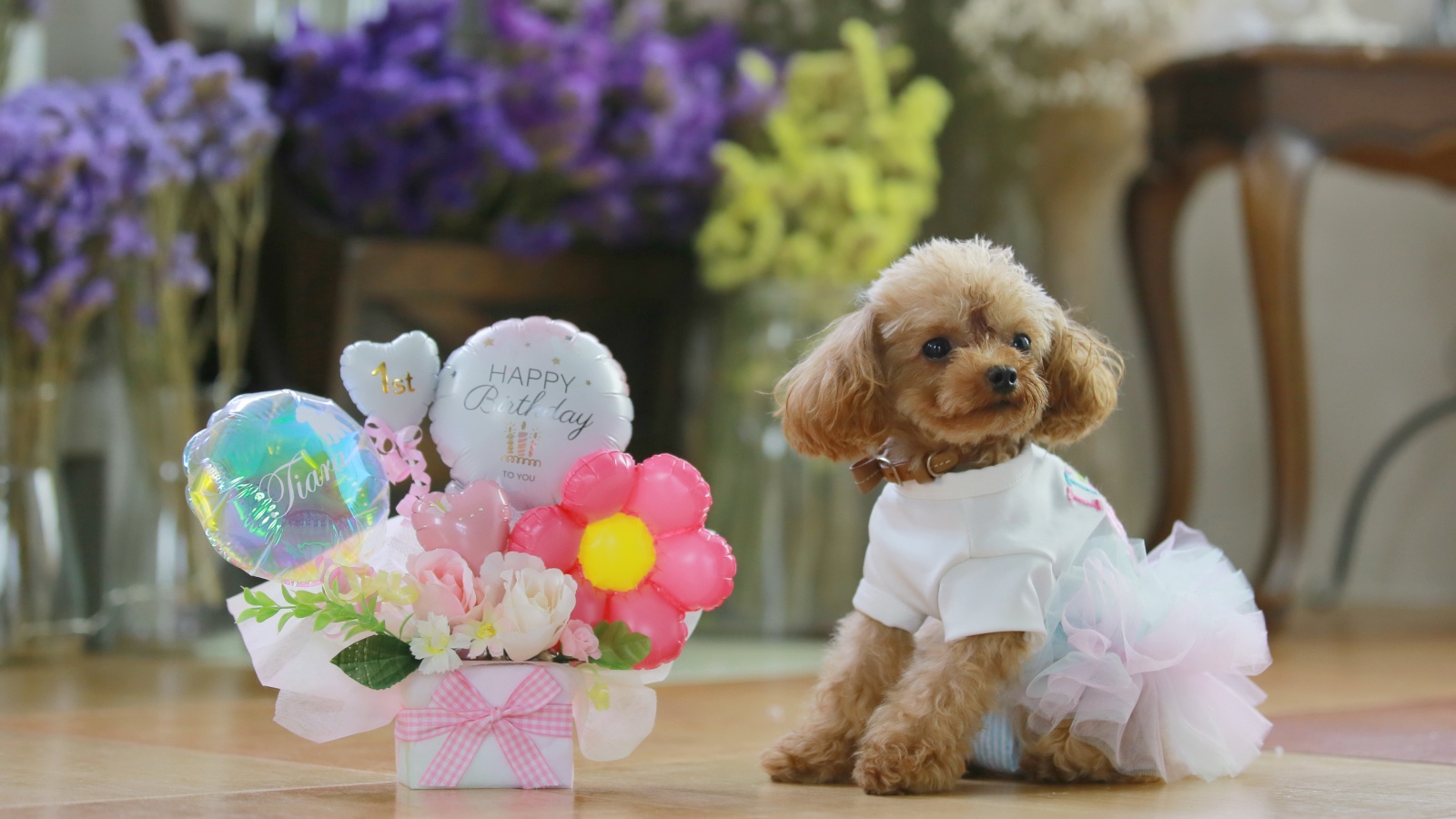 【ワンちゃん歓迎】〜ペット泊ＯＫ〜やっぱり一緒が良いね♪愛犬と清里旅を満喫☆素泊