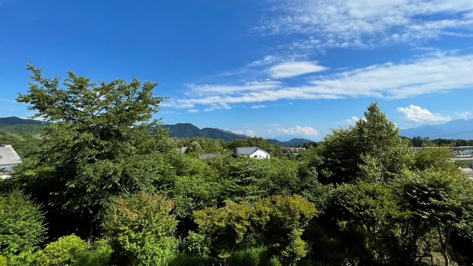 シングルルーム　ユニットバスから見える景色