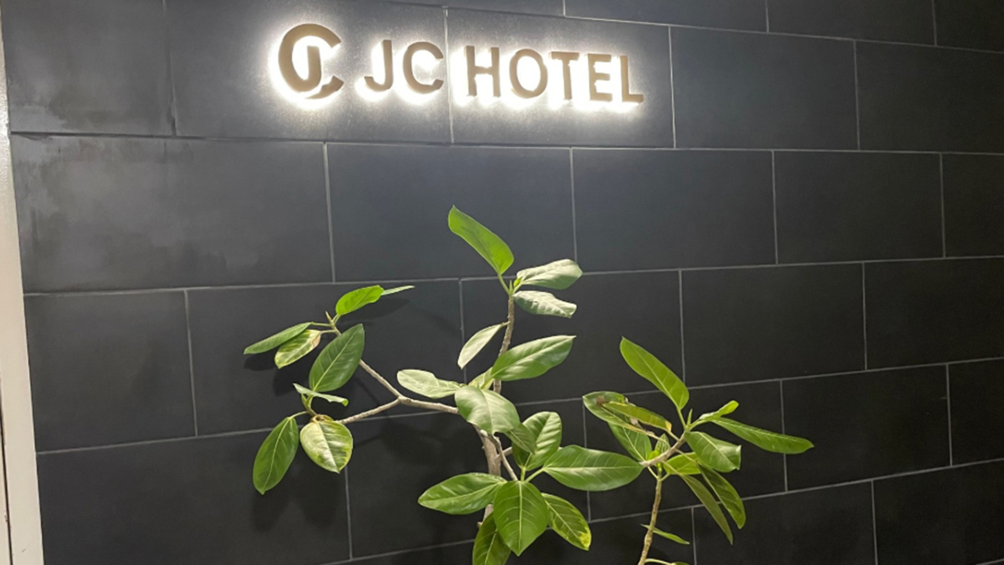 ・【共用】当館エントランス