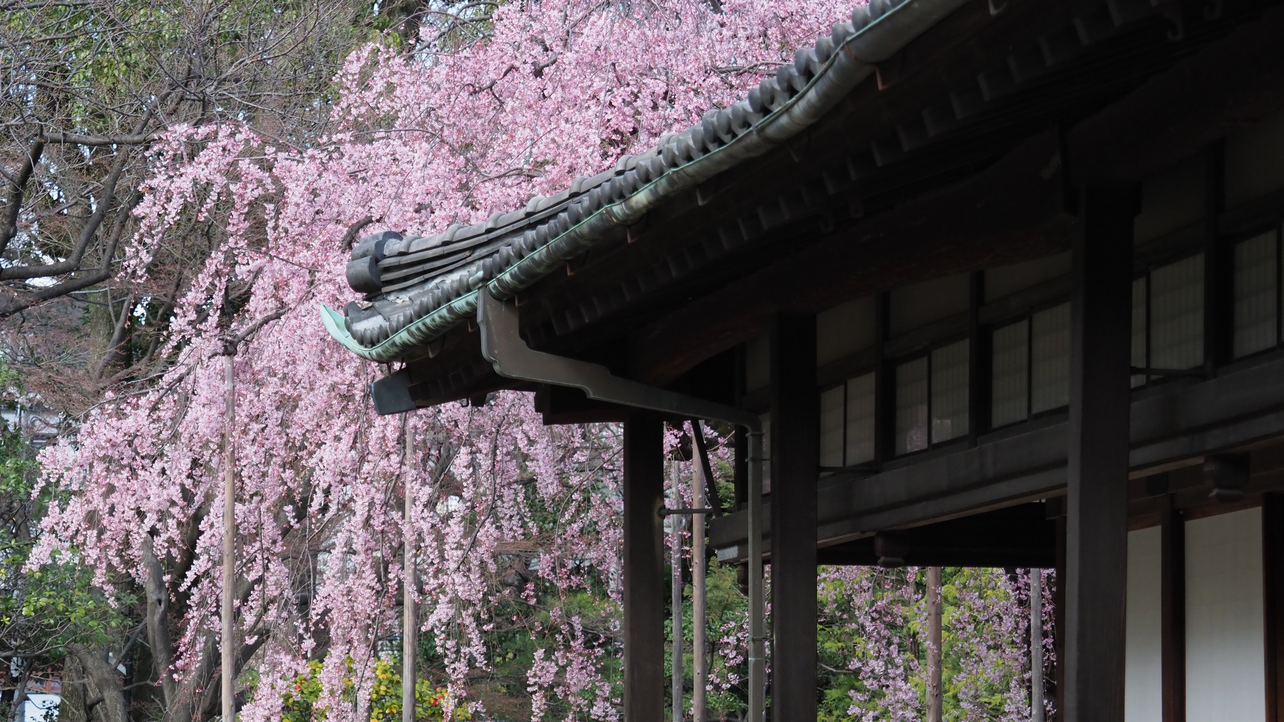 浅草寺