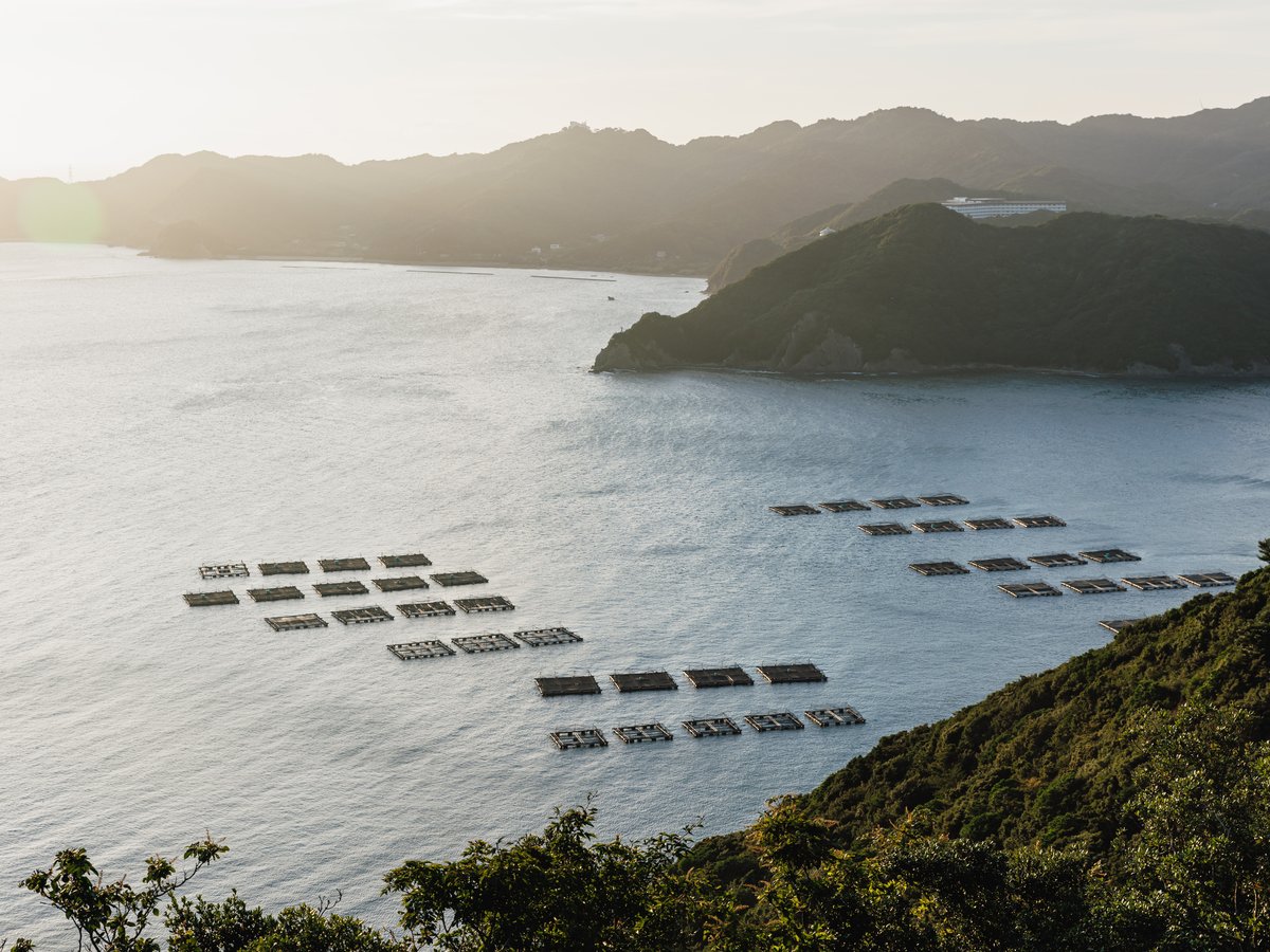 若人の広場公園（ホテルから車で9分）：海抜100mの高さにある公園内から鳴門海峡などを眺められます