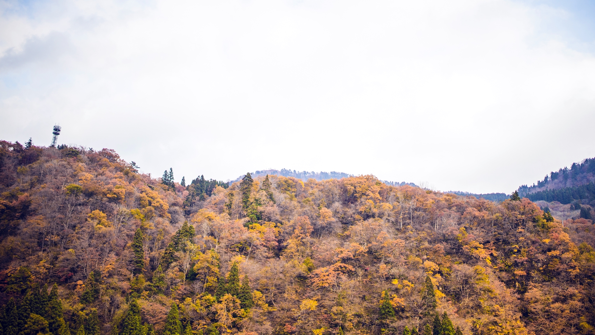 *周辺風景/白山市白峰地区は日本三霊山の1つである「白山」のお膝元にあり、豊かな自然に囲まれています