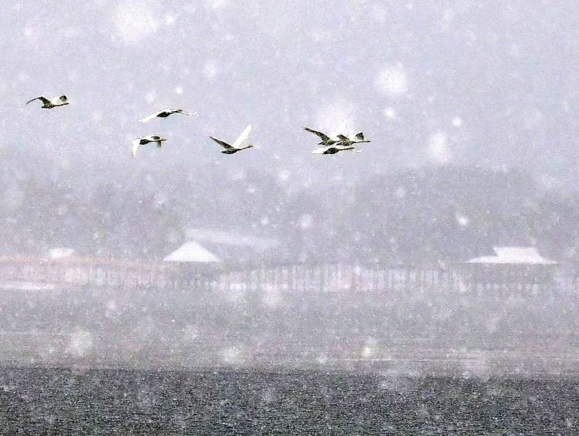 【冬季限定】冬の絶景とクラフトワイン＆地酒を楽しむ〜大人の贅沢プラン登場！