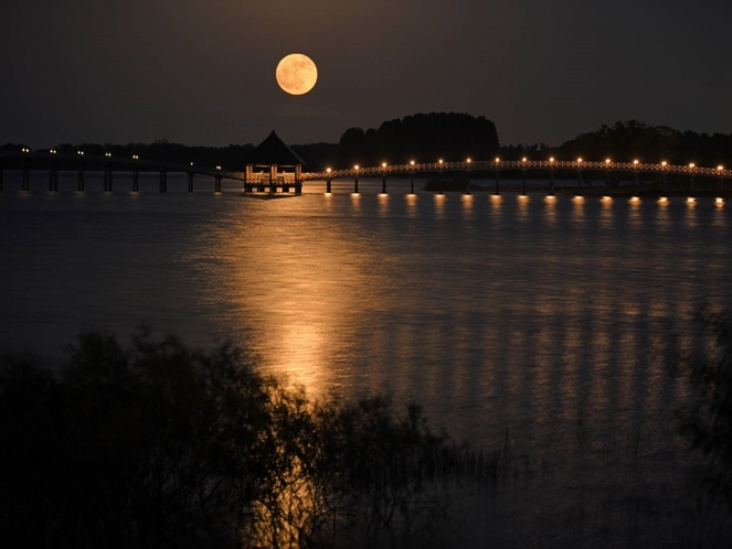 鶴の舞橋と満月