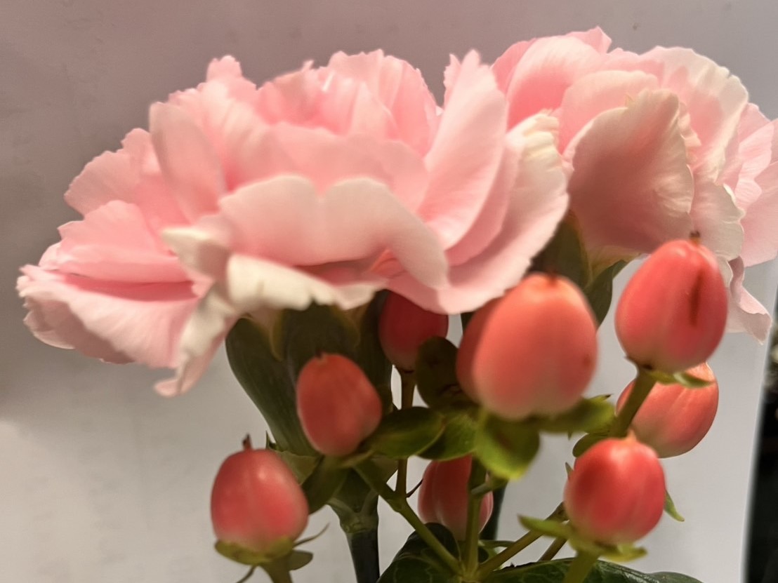 お祝いプラン　花