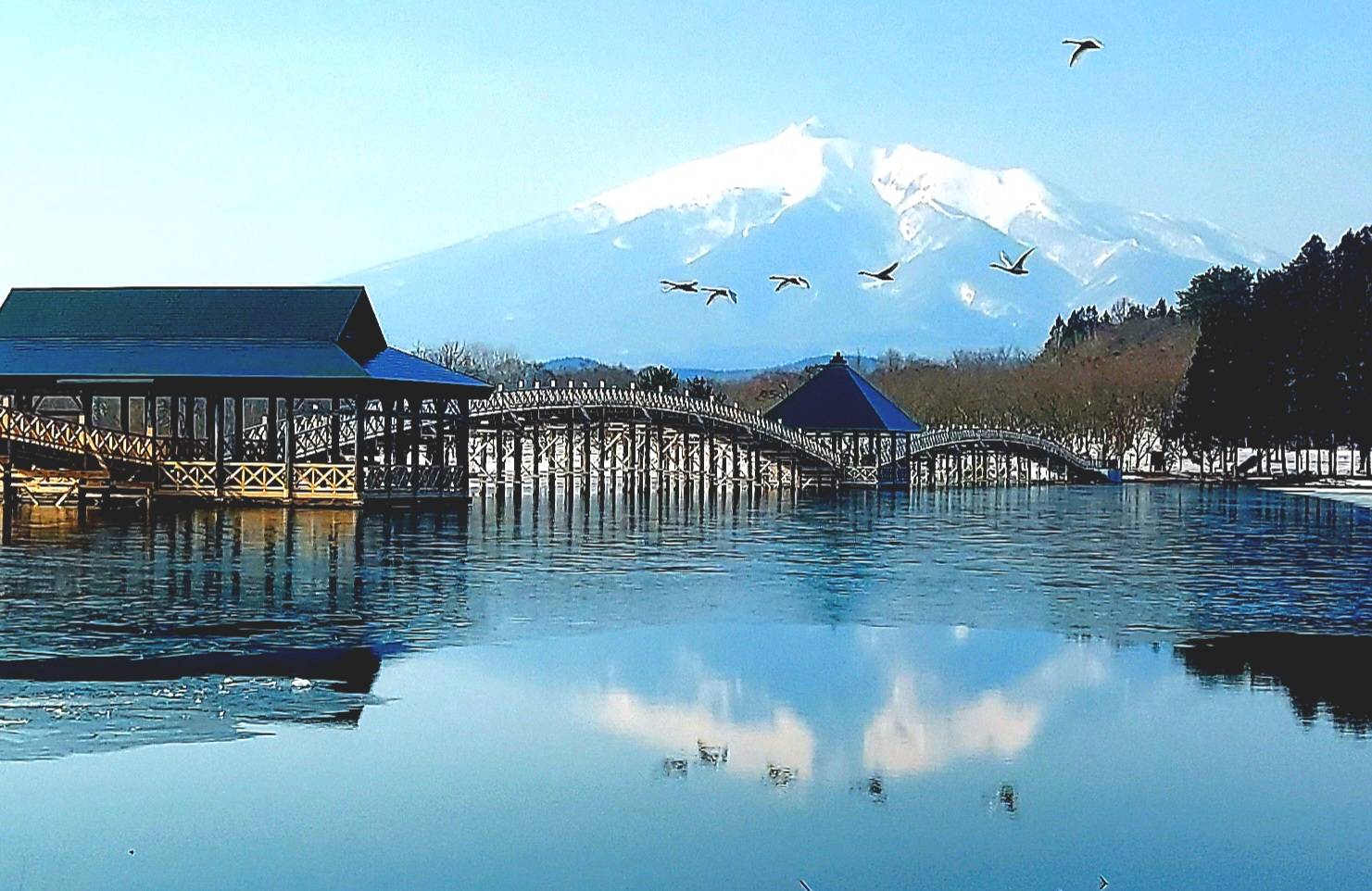 春の訪れと白鳥２