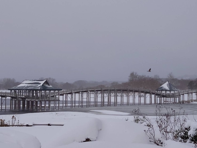初冬の鶴の舞橋