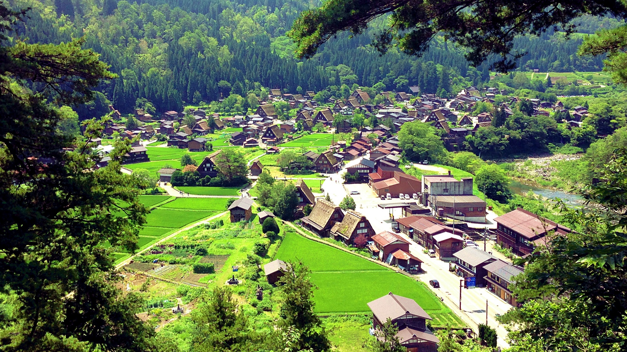 【周辺】緑鮮やかな夏の白川郷荻町