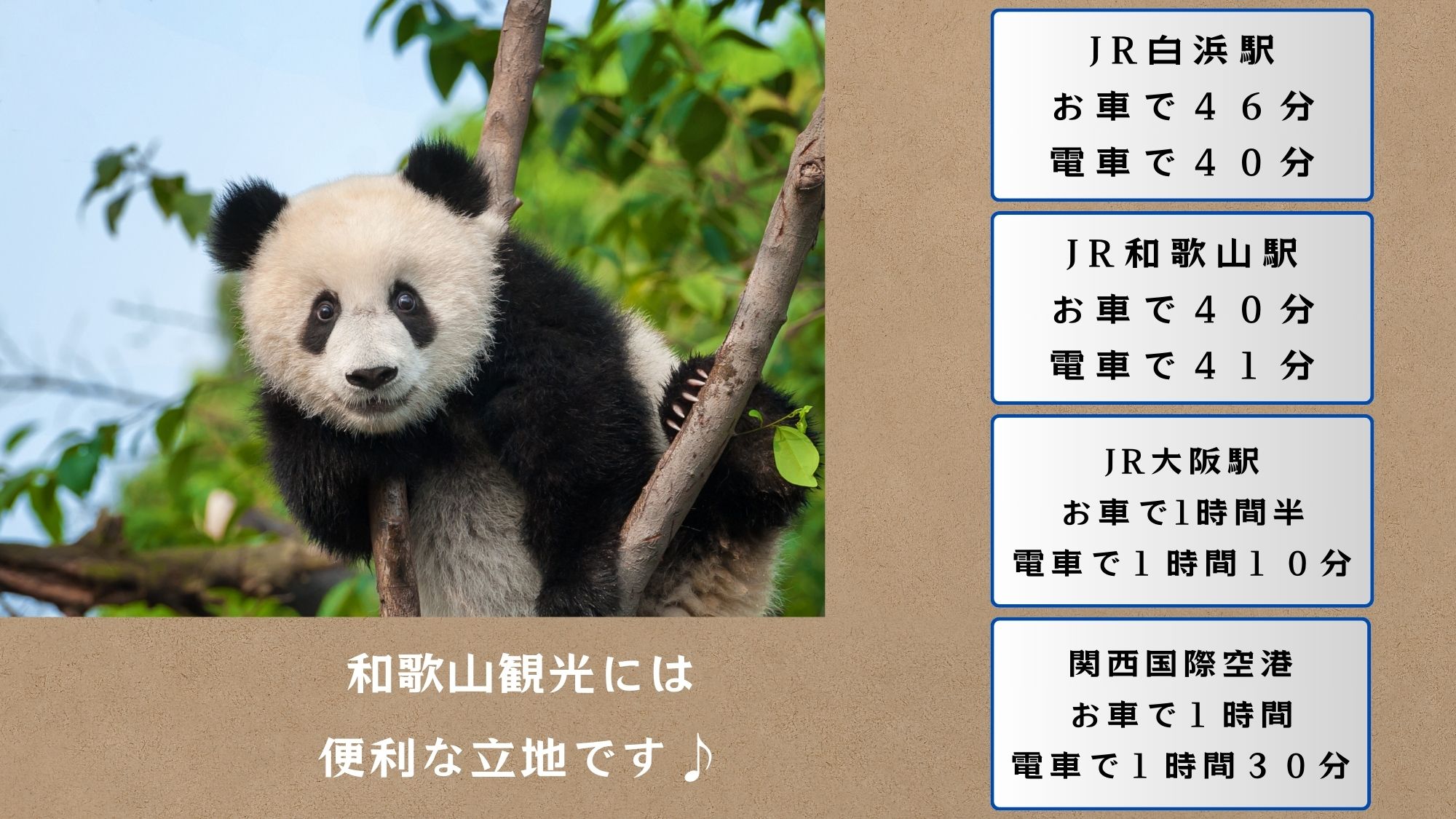 観光地へのアクセス