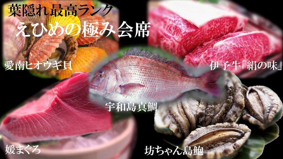 【一棟貸切×最上級料理】伊予牛！宇和島鯛！アワビ！愛媛のブランド食材にこだわった会席で愛媛を堪能♪