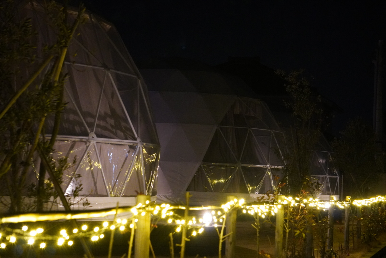 イルミネーション