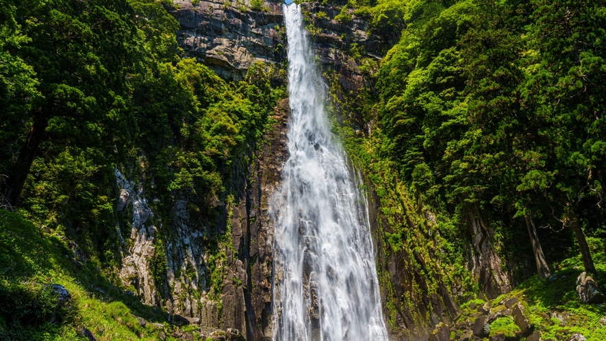 【那智滝】ほぼ率直に断崖を落下する滝。一段の滝としては落差日本一位を誇る。（当館より車で約2時間）
