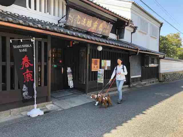 ワンちゃんと(奈良町観光)