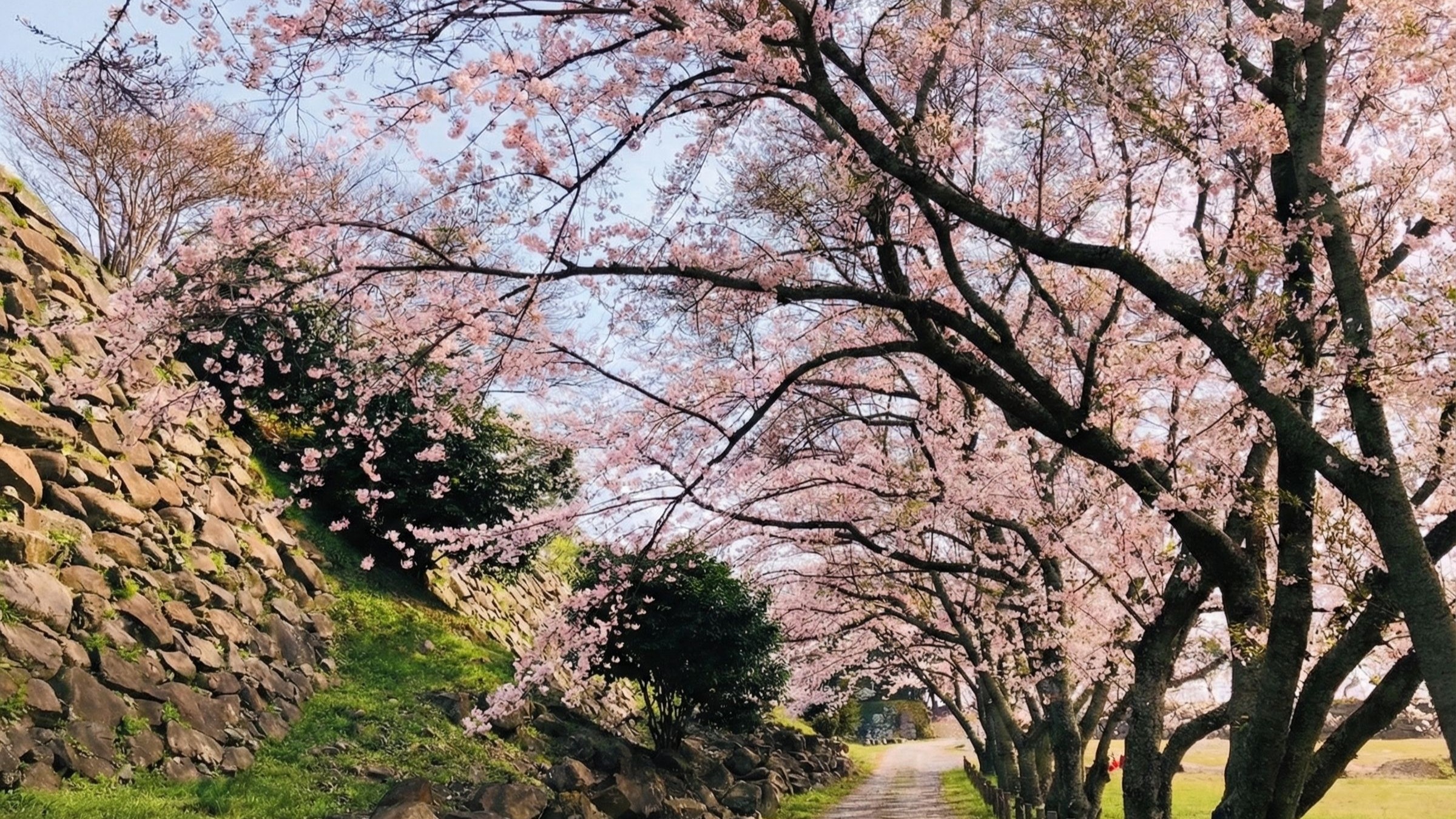 【名護屋城】車で5分。春になると桜が咲き誇る、絶好のお花見スポットです！