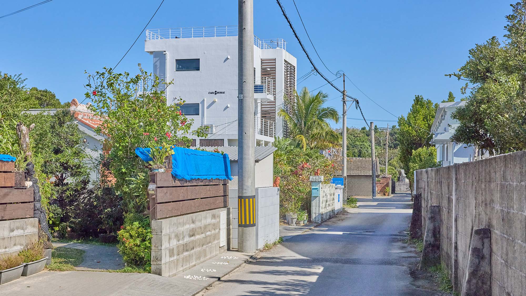 ・【周辺】美ら海水族館や古宇利島への観光の拠点に。充実した沖縄観光をお楽しみください