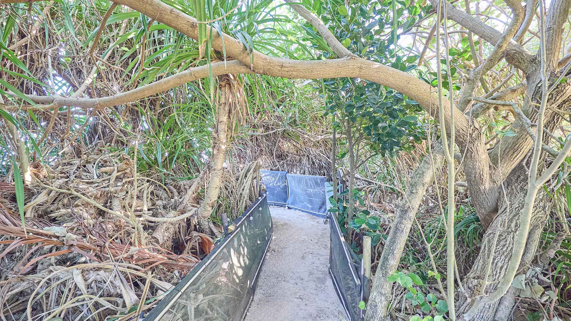 ・【ビーチに続く道】こちらの道の先にビーチがございます。ビーチご利用の際はこちらからお進みください