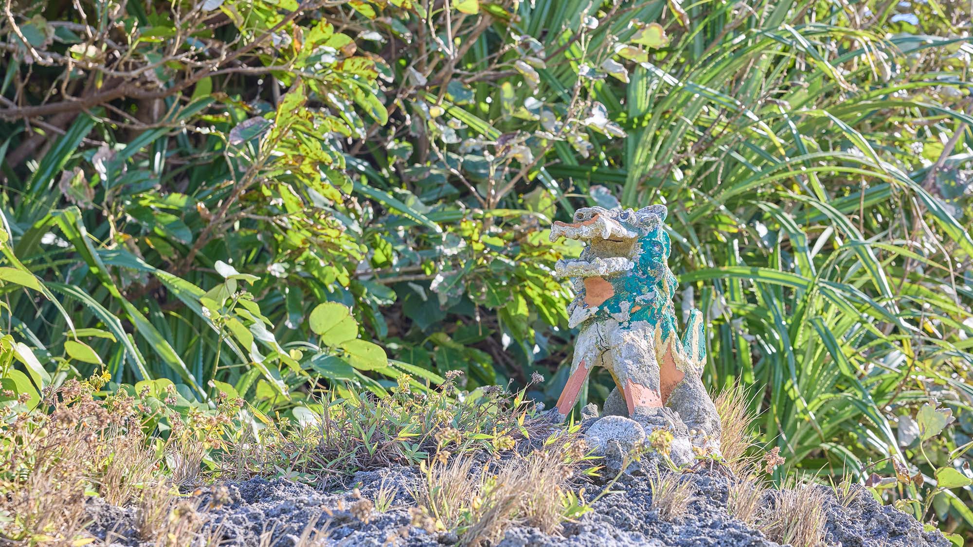 ・【シーサー】シルバマ浜のシーサーが皆様をお迎えします