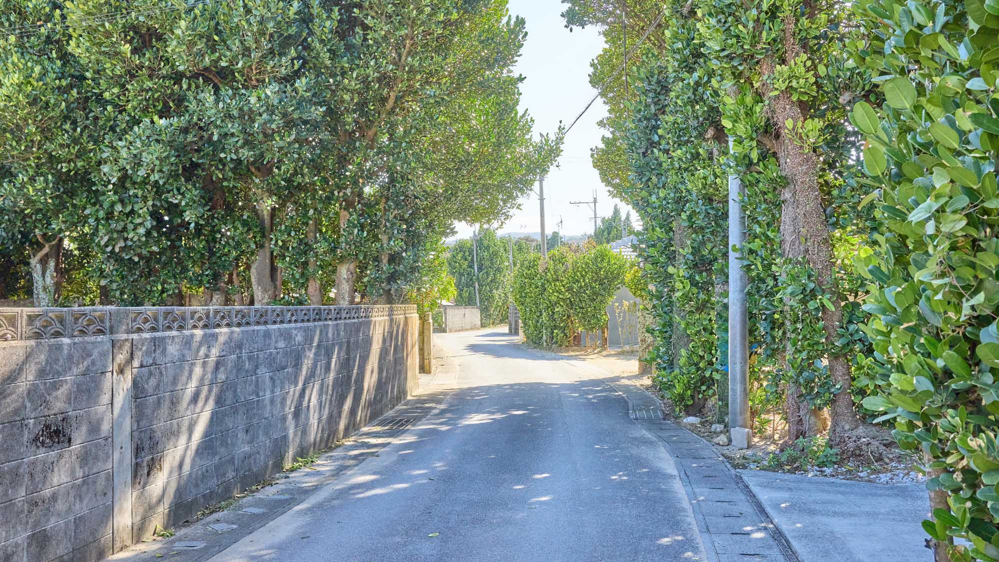 ・【周辺】今帰仁城跡へは車で約4分、備瀬のフクギ並木へは車で約10分でアクセスできます