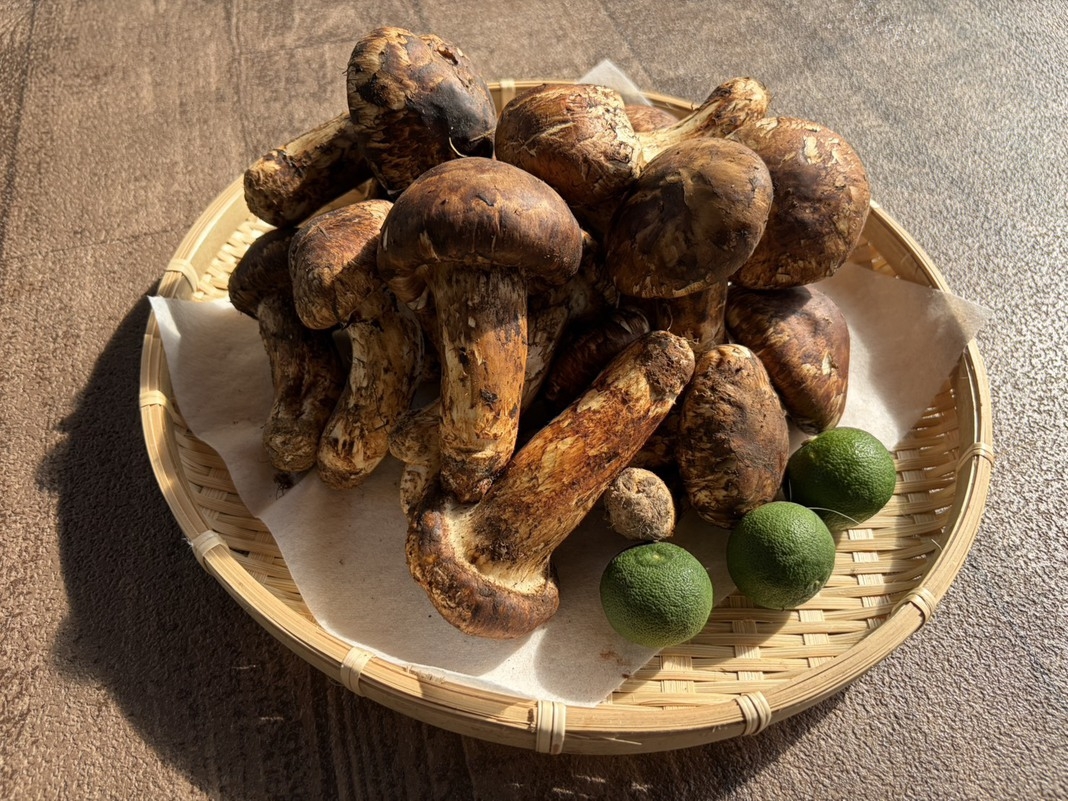 【１０月限定】飛騨牛＆松茸すき焼き食べ放題プラン☆夕食のみ
