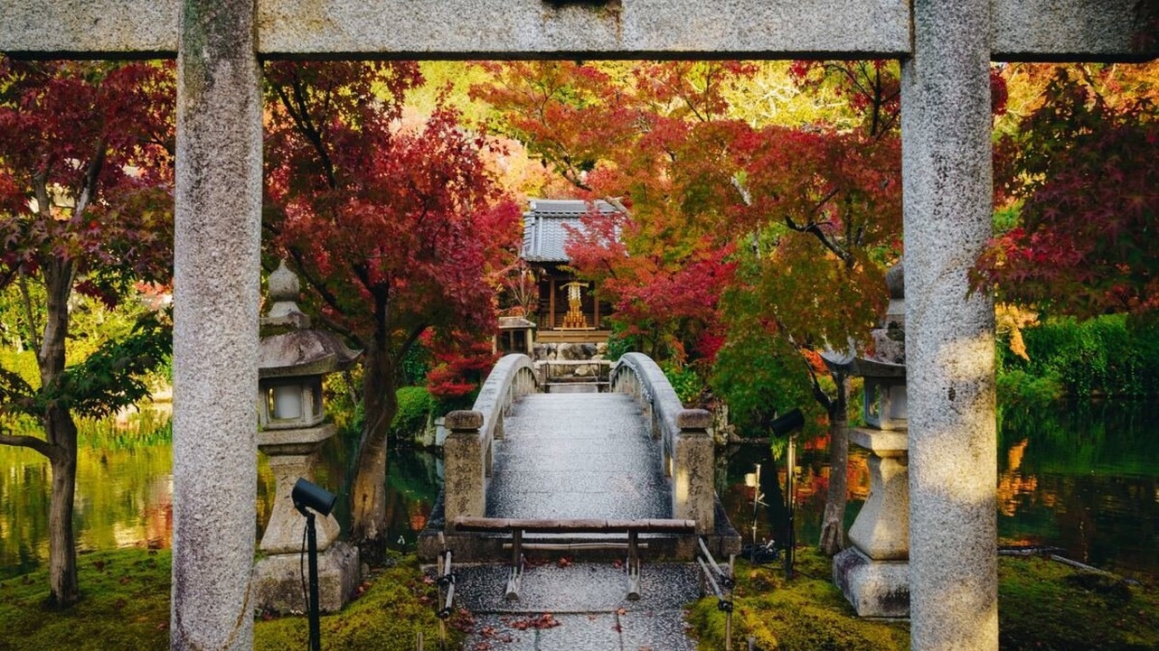 【秋旅SALE】（素泊まり）〜風情ある秋の京都で特別なひとときを〜