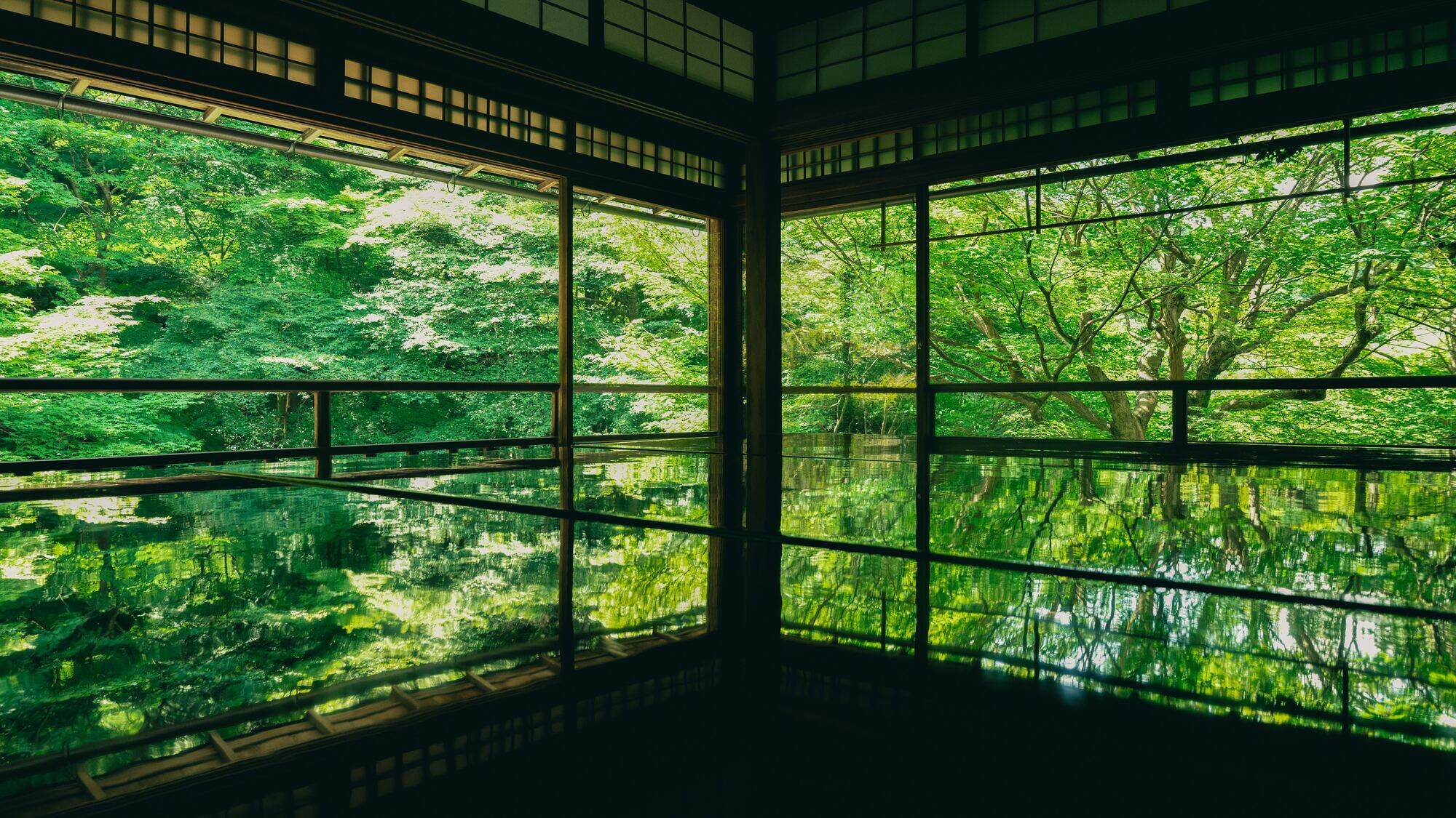 【瑠璃光院】「夏の特別拝観」も始まりました。“机にリフレクションするモミジの絶景”は見物です。