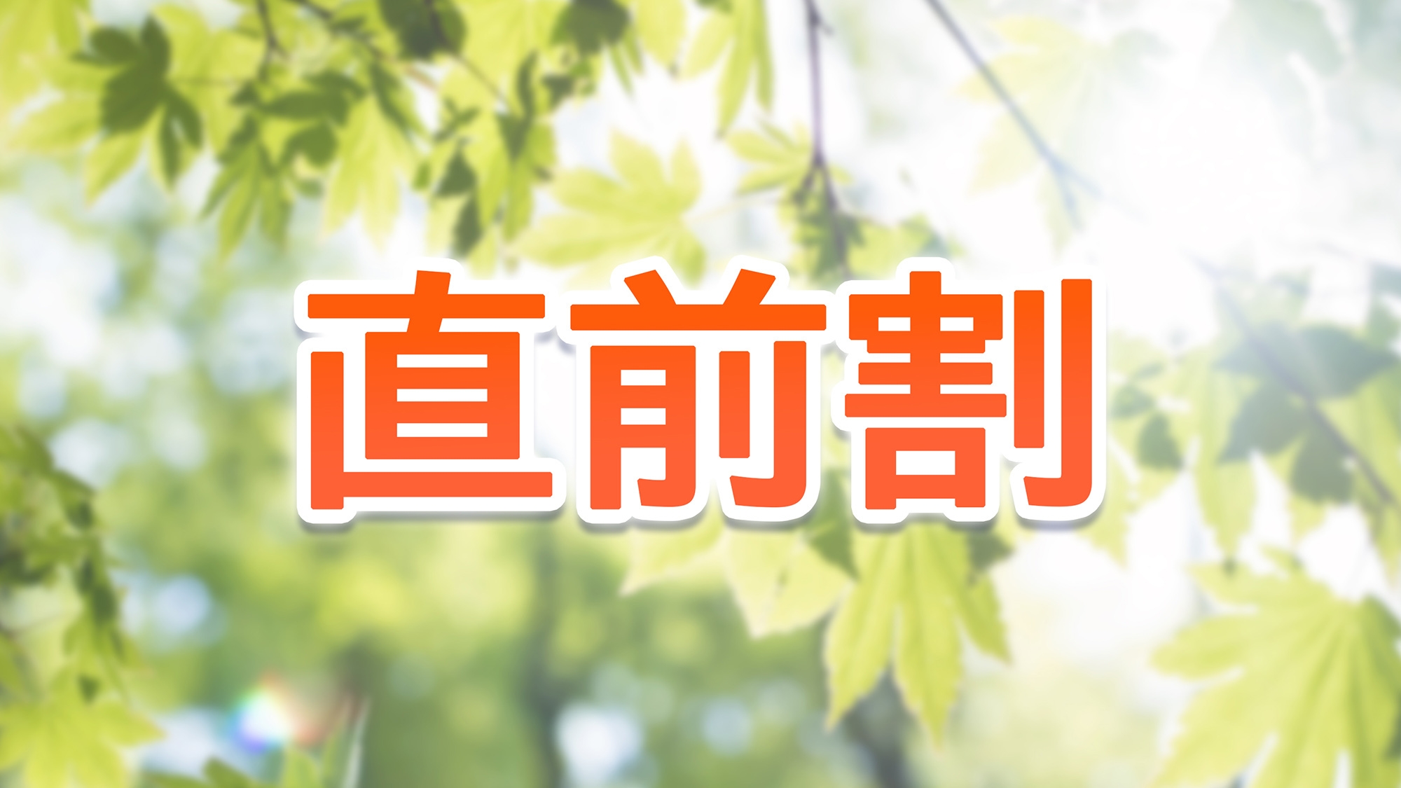 【８月限定・夏休み応援企画】早いもの勝ち！一棟貸しのお得プラン