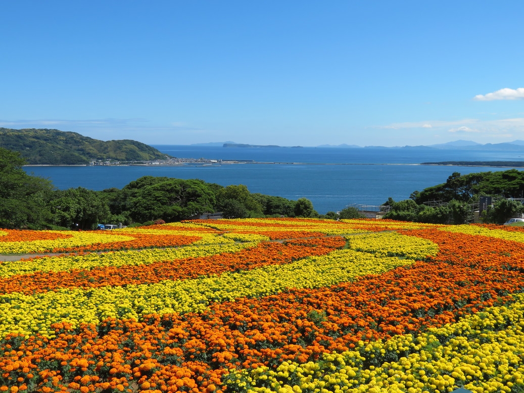 【虹色傘で探検♪】千株紫陽花と５万株マリーゴールド！家族で名物ＢＢＱ＜花畑・２食のろし・入園券２日＞