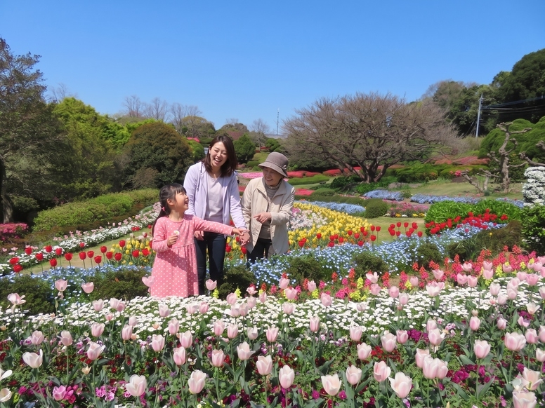 【宝物はここに】おばあちゃんの「好き」は私が知ってる。家族をつなぐ花旅＜2食のろし・入園2日＞