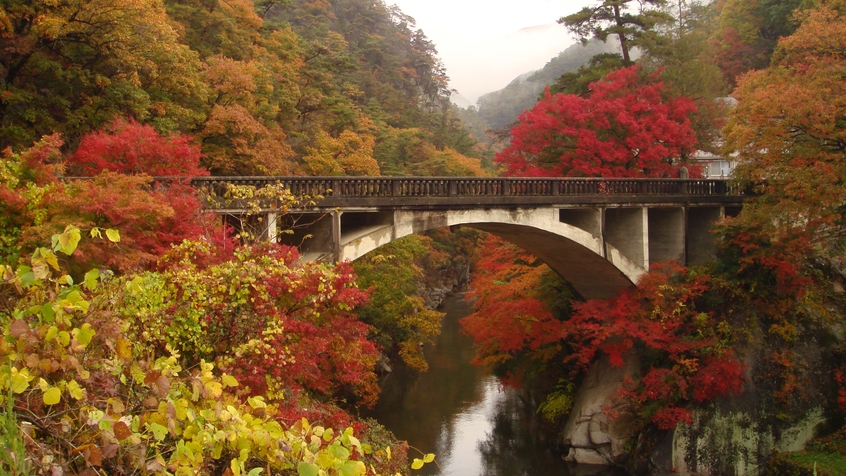 【秋旅】山梨の紅葉を見に行こう！1泊2食付創作和食膳+ハーフバイキングプラン