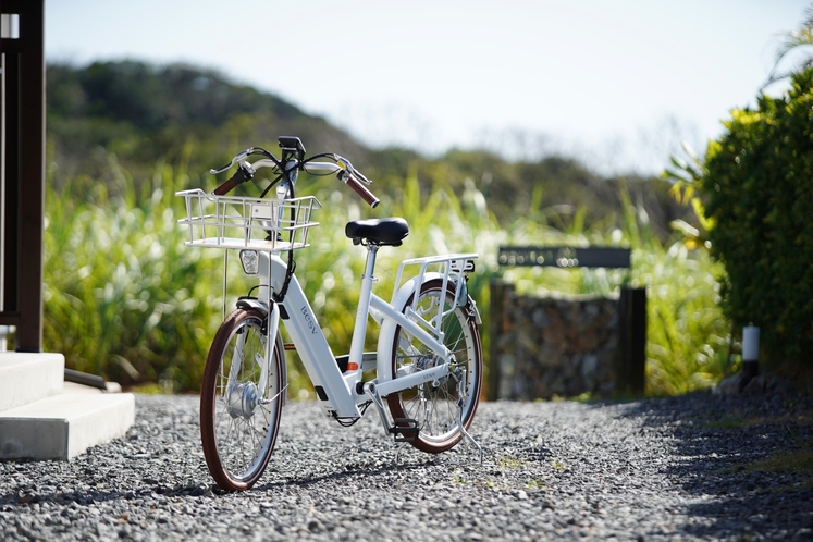 e-bikeとサトウキビ畑