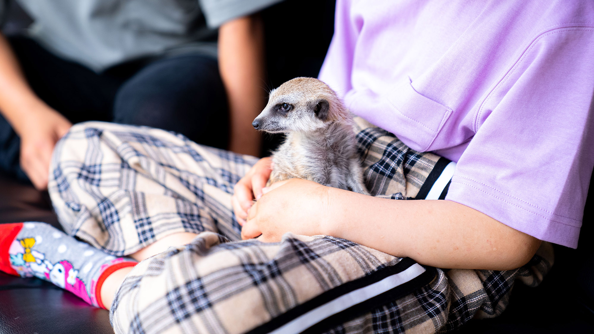 ・【泊まれる動物】お気に入りの動物と一緒に宿泊体験をお楽しみください