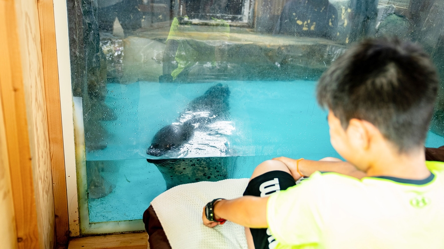 ・【アザラシコテージ】まるで水族館にきた気分、お子様もお楽しみいただけます