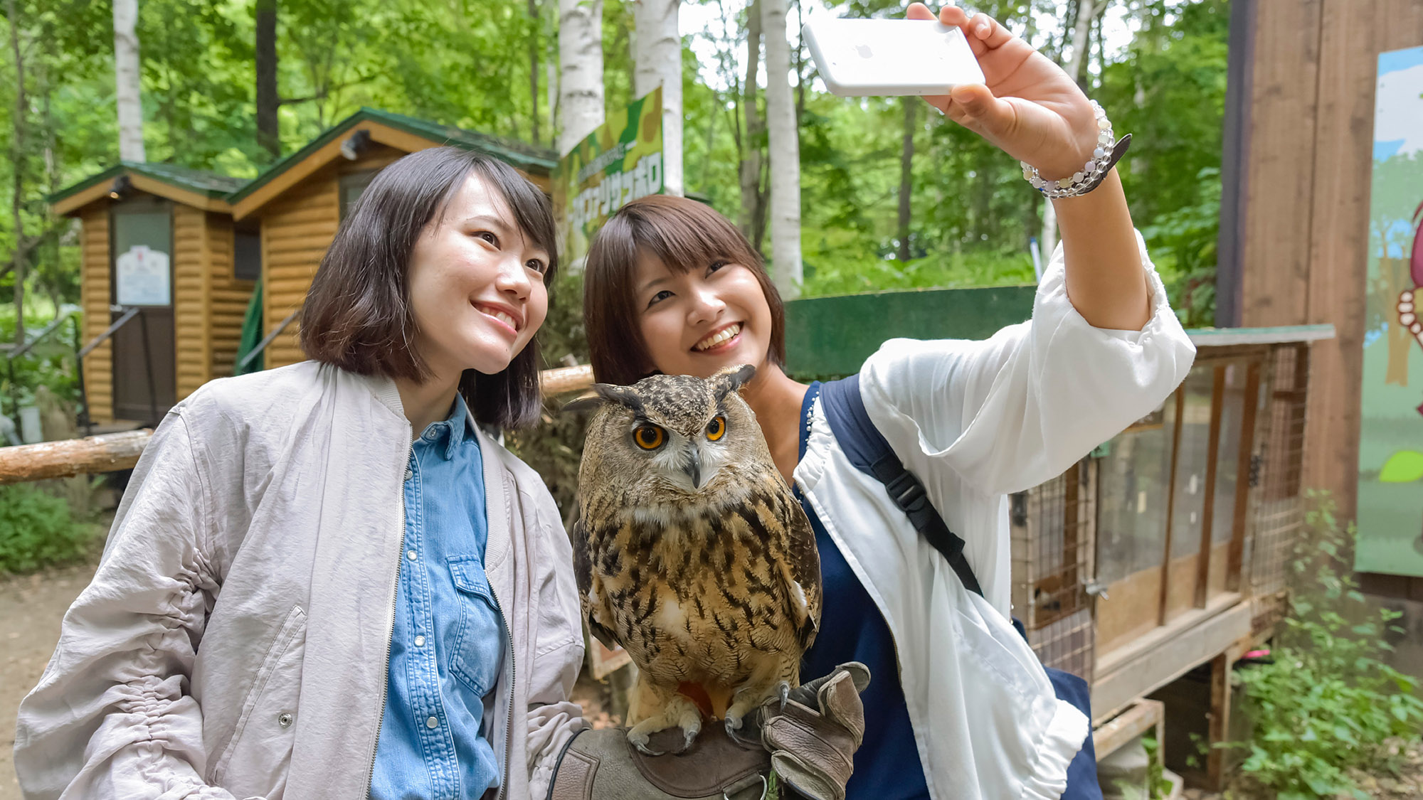 ・【ノースサファリサッポロ】フクロウとのふれあいは、忘れられない思い出になることでしょう