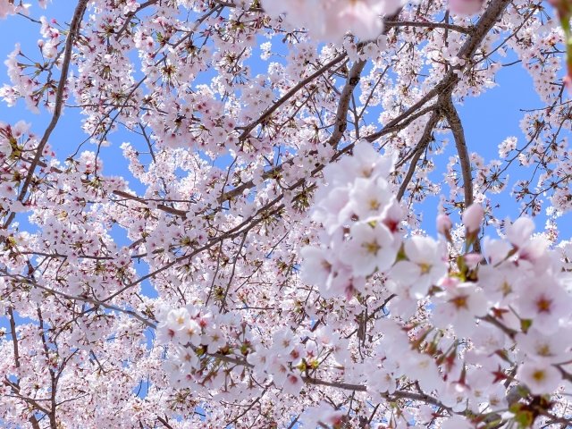 烏ヶ森公園