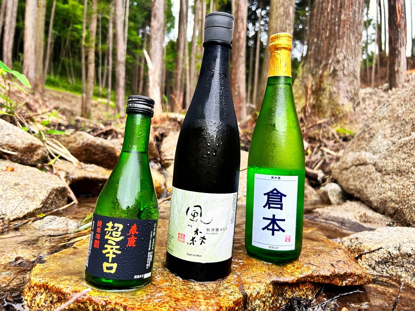 【食でめぐる奈良】【飲み比べプラン】３種の日本酒と季節の食材満喫！BBQスタンダードプラン