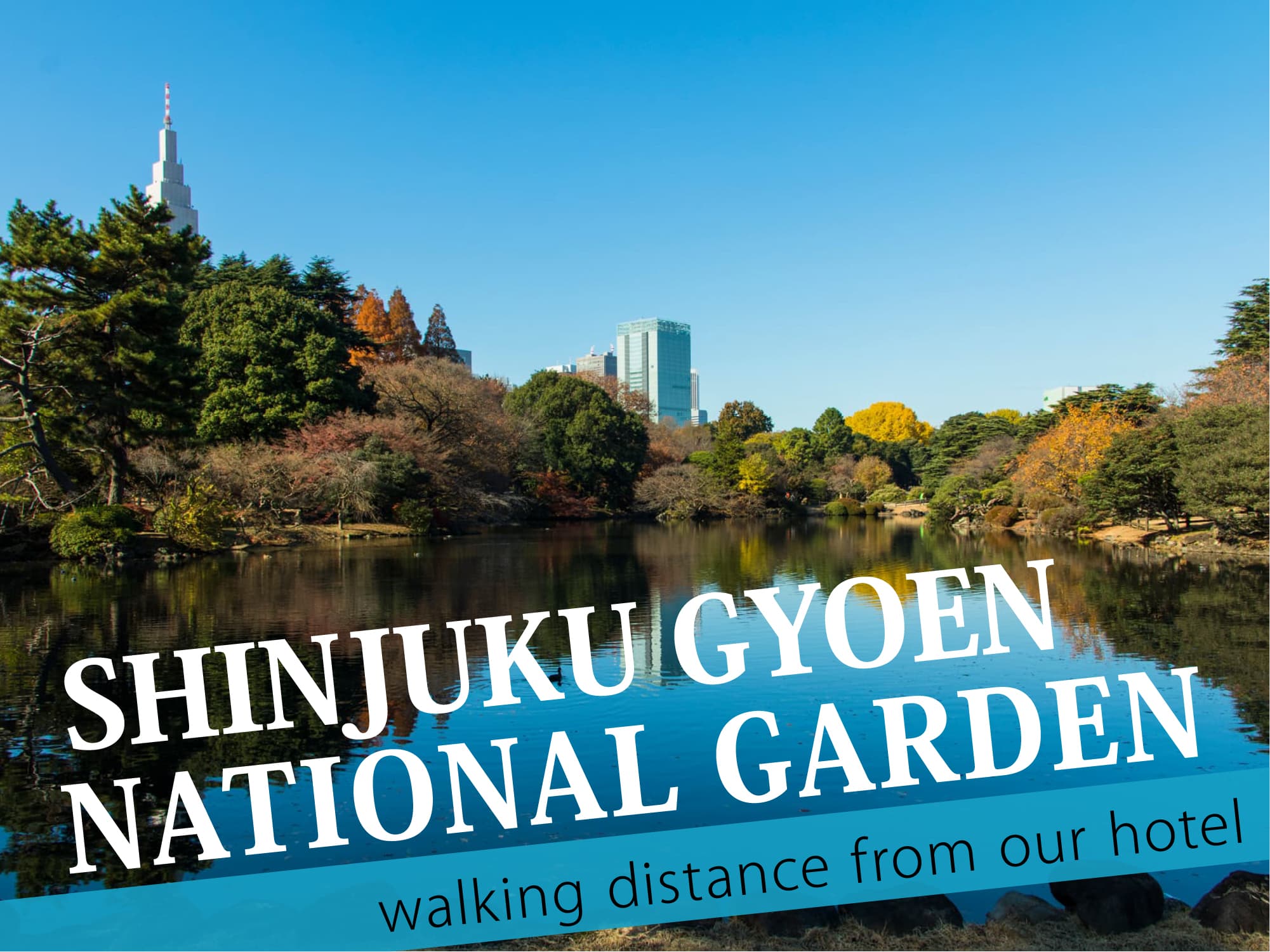 Shinjuku Gyoen National Garden（新宿御苑）