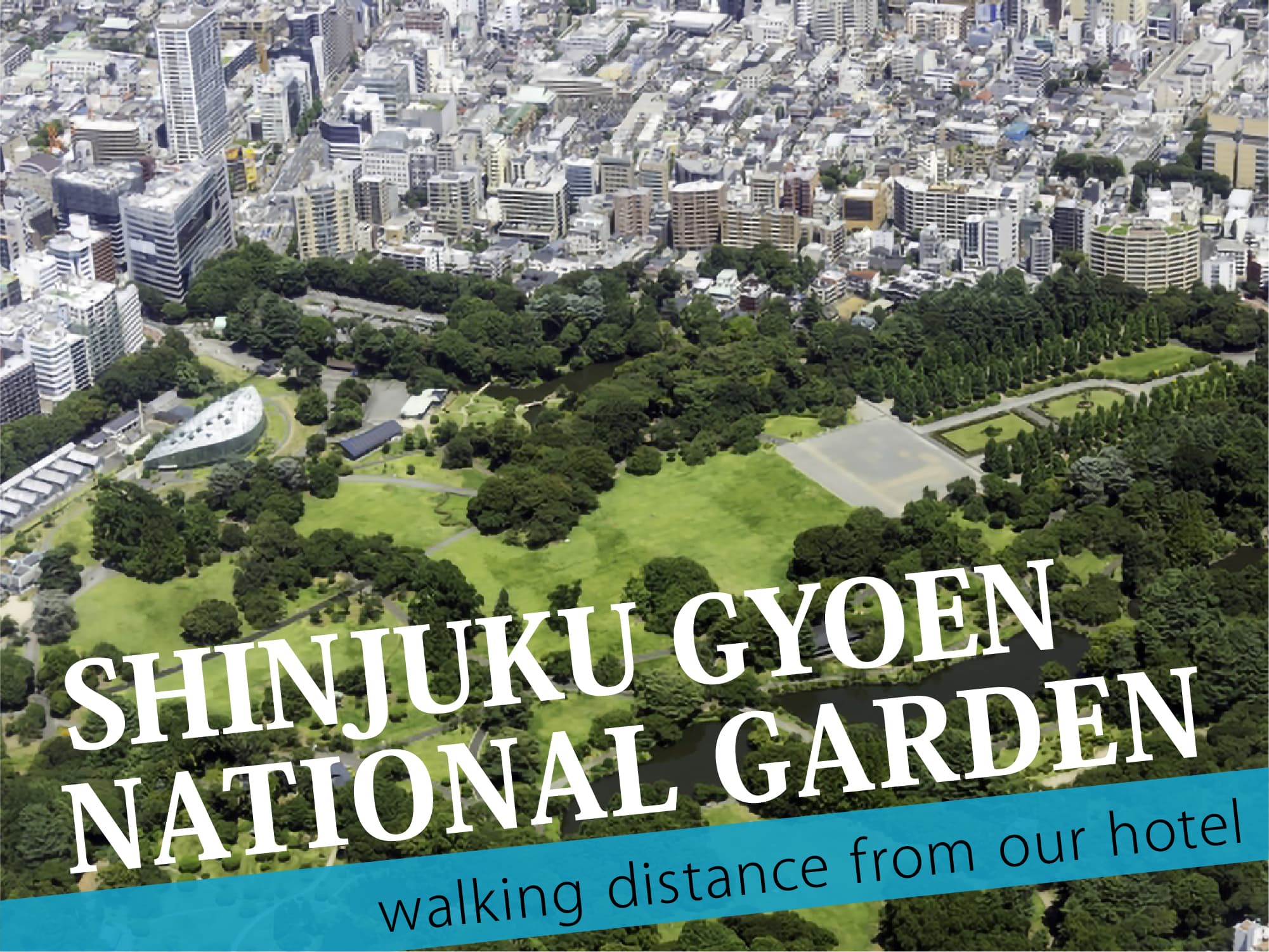 Shinjuku Gyoen National Garden（新宿御苑）