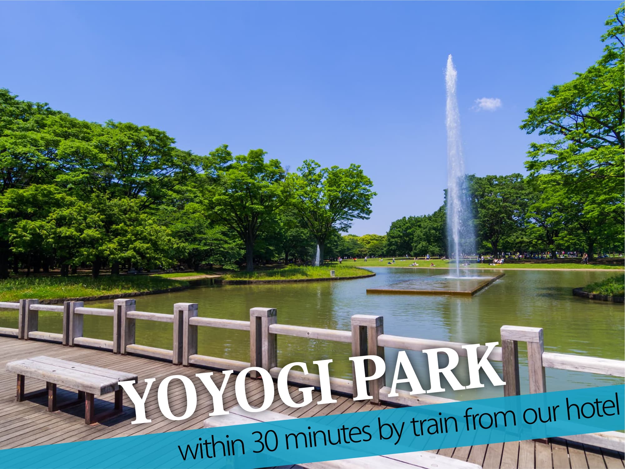 Yoyogi Park（代々木公園）