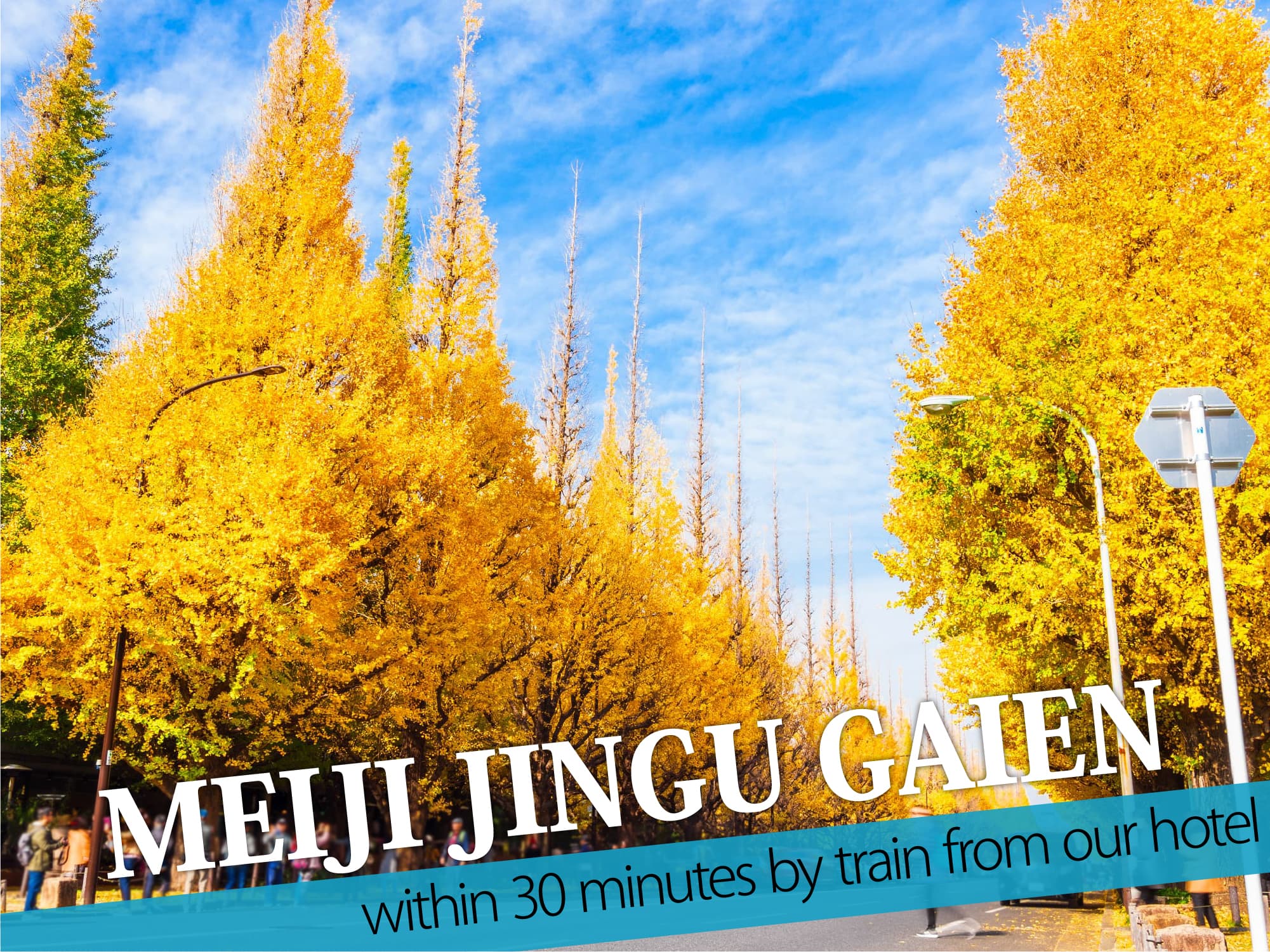 Meiji Jingu Gaien（明治神宮外苑）