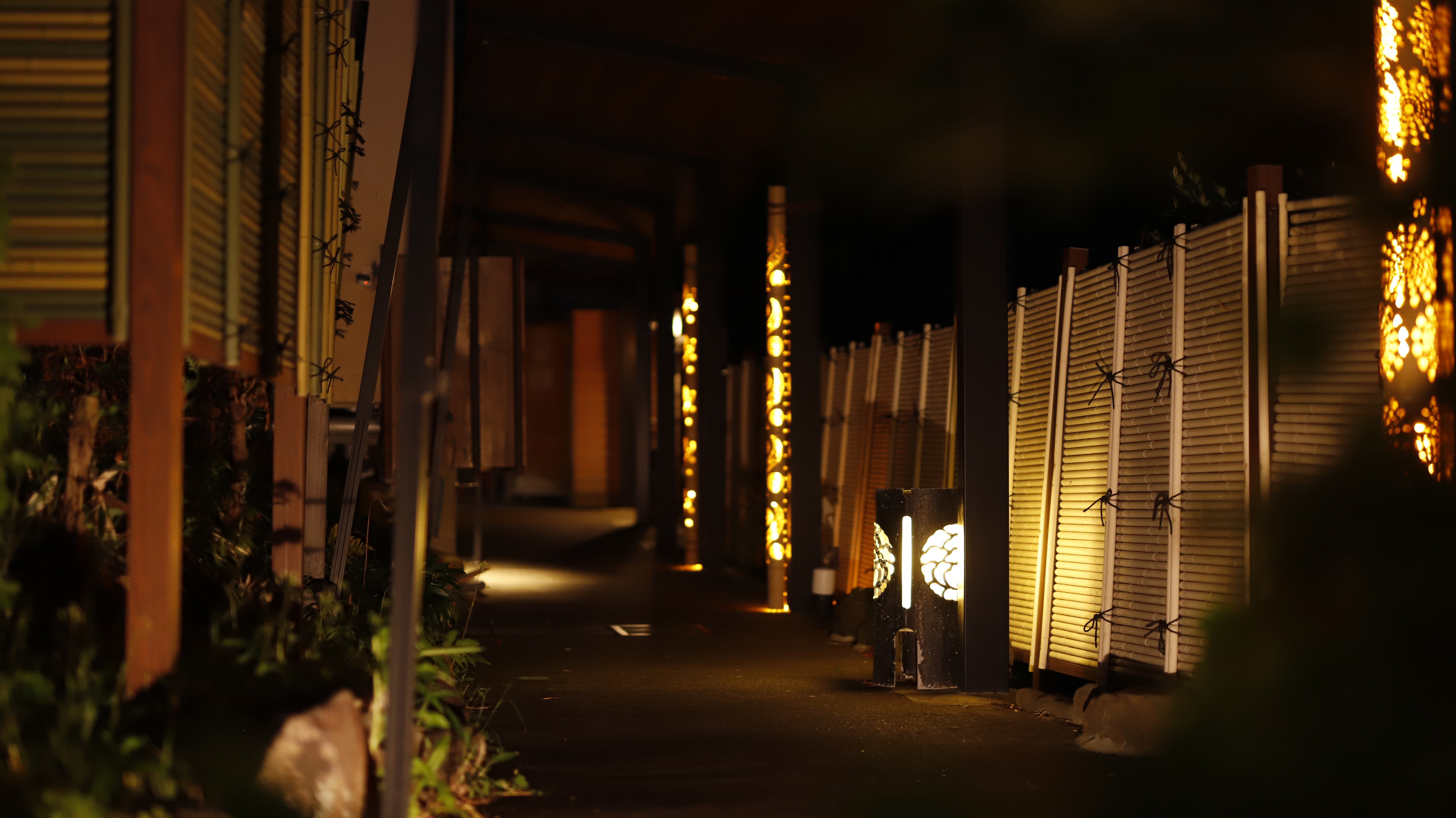 本館からさくら亭連絡通路のライトアップ