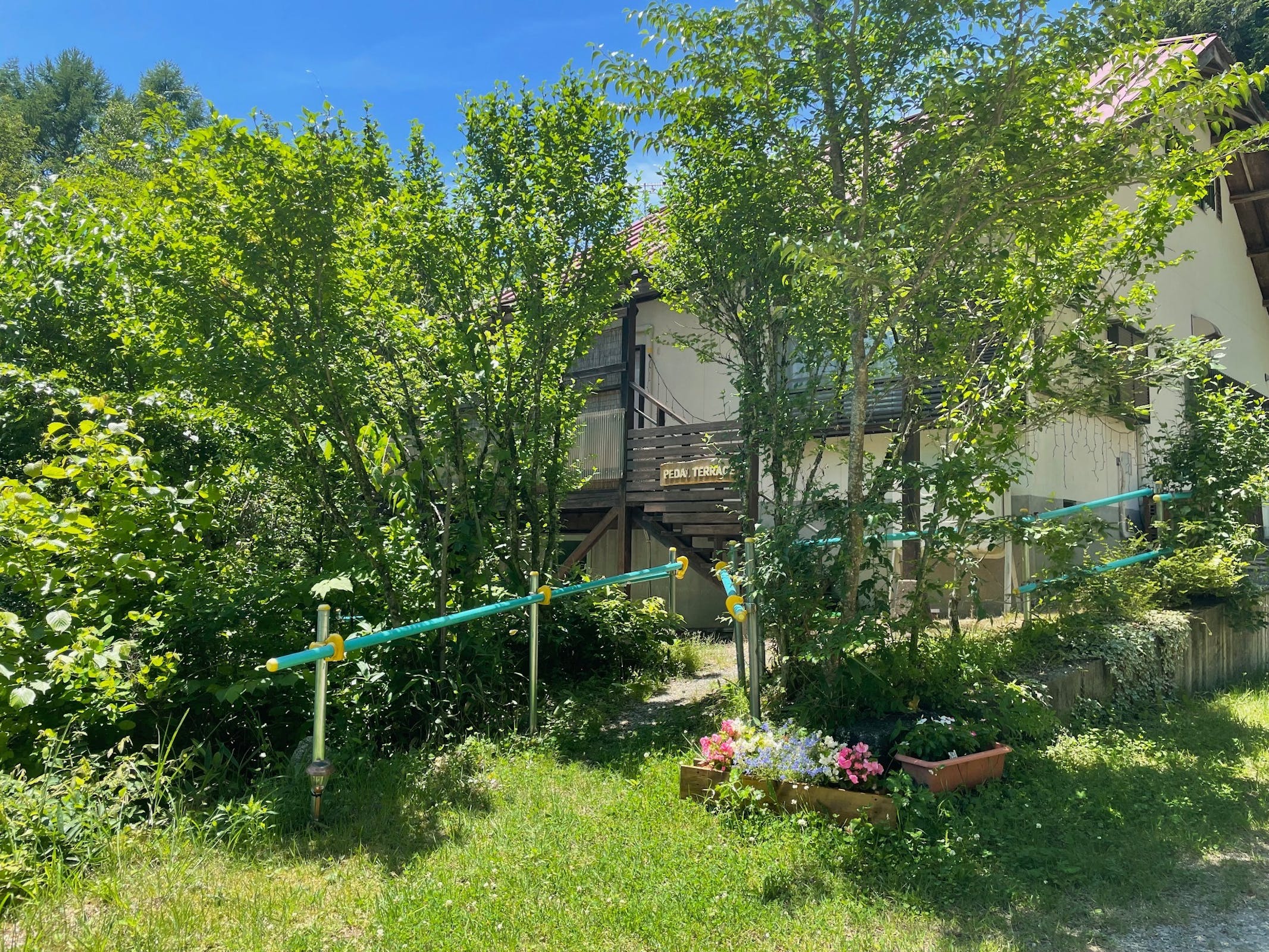 夏の外観です。冬はイルミネーションでお出迎えいたします。