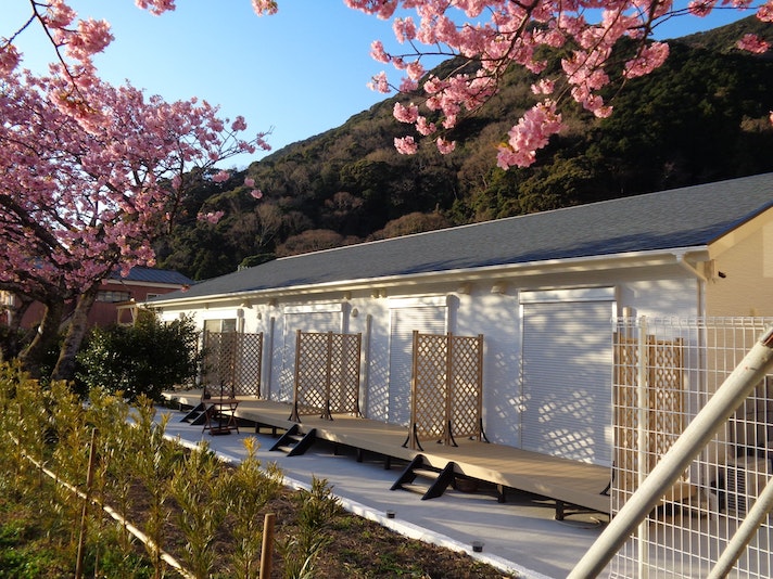 時期には目の前で河津桜を楽しめます。