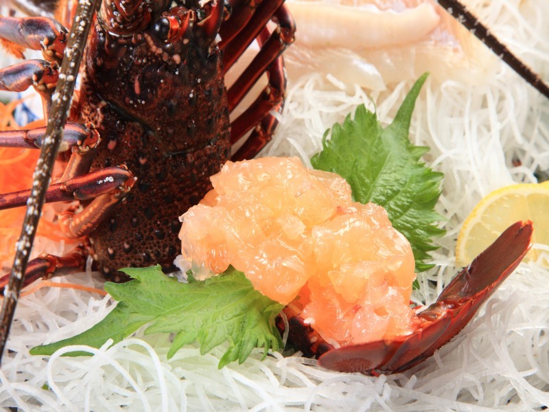 [이세 새우 모습 만들기]프립리의 신질에 은은한 단맛