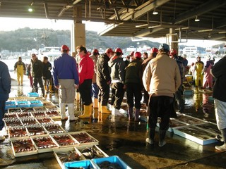 地元の豊浜市場では『魚半』の屋号でセリに加わる