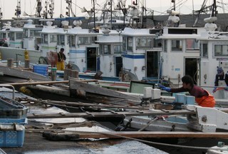 豊浜の漁船群 - 伊勢湾から三河湾、渥美外海辺りまでを漁場とする