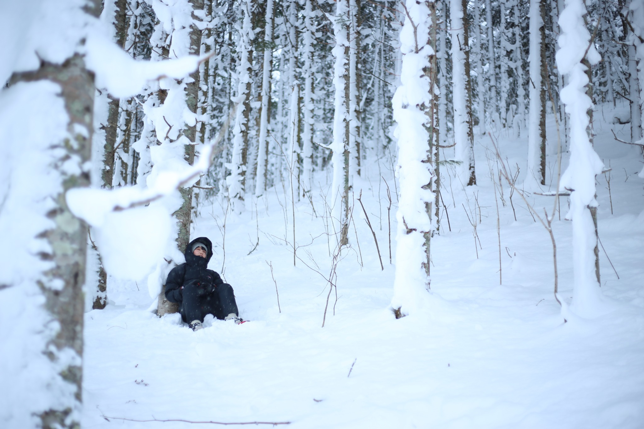 スノーシューで雪さんぽもできます